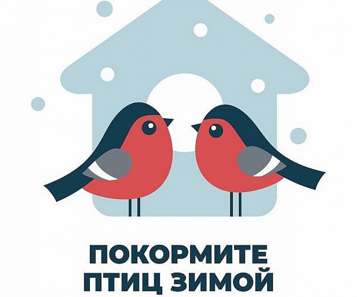 В Воронежской области проходит экологическая акция «Покорми птиц зимой».