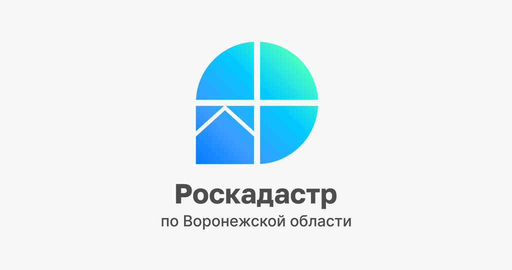 За полгода воронежцы заказали в 30 раз больше электронных выписок из ЕГРН, чем бумажных.