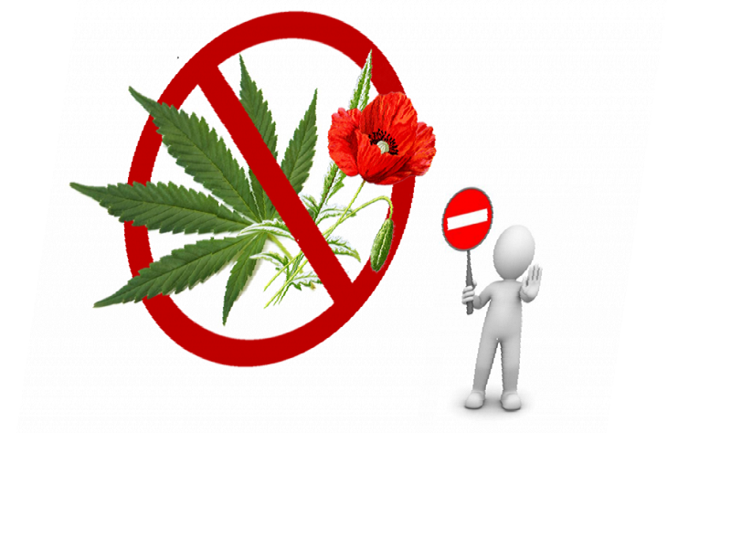 Культивирование наркосодержащих растений строго запрещено!.