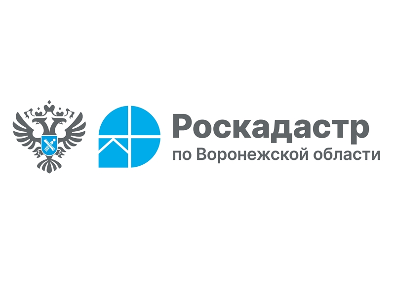 Граждане узнают о способах получения землеустроительной документации.