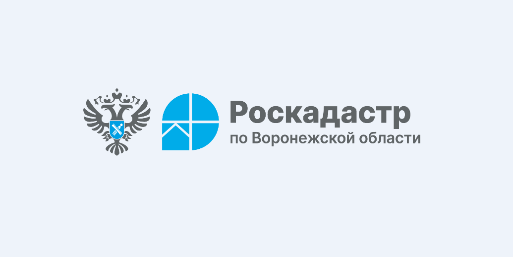 Роскадастр ответил на популярные вопросы воронежцев о выписках из ЕГРН.