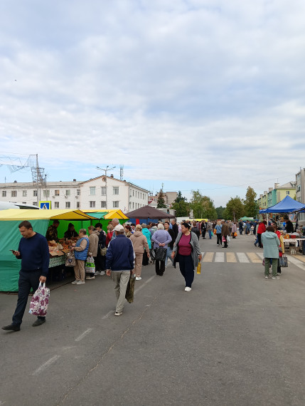В Нововоронеже прошла сельскохозяйственная ярмарка.